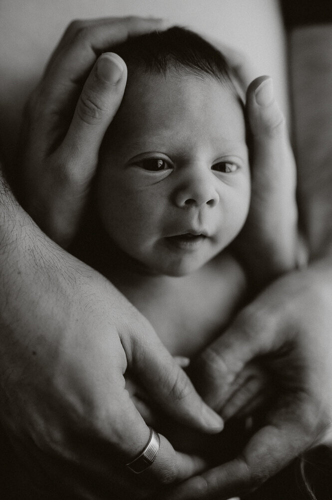 Sydney natural newborn photographer photo-52