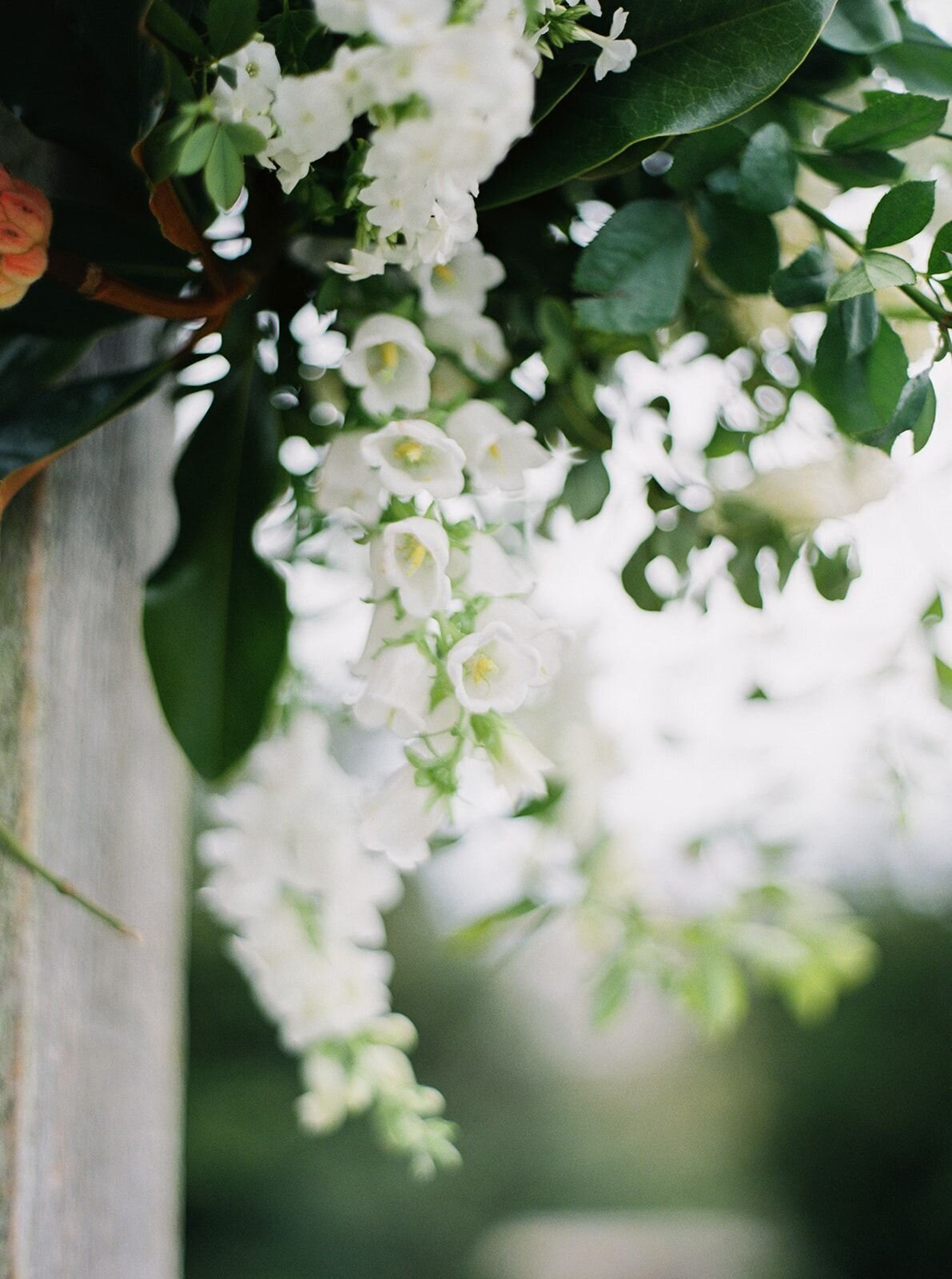 leila-james-events-newport-rhode-island-luxury-wedding-planner-castle-hill-inn-venue-emily-march-payne-wedding-photographer-VaughanWedding_0461 copy 2