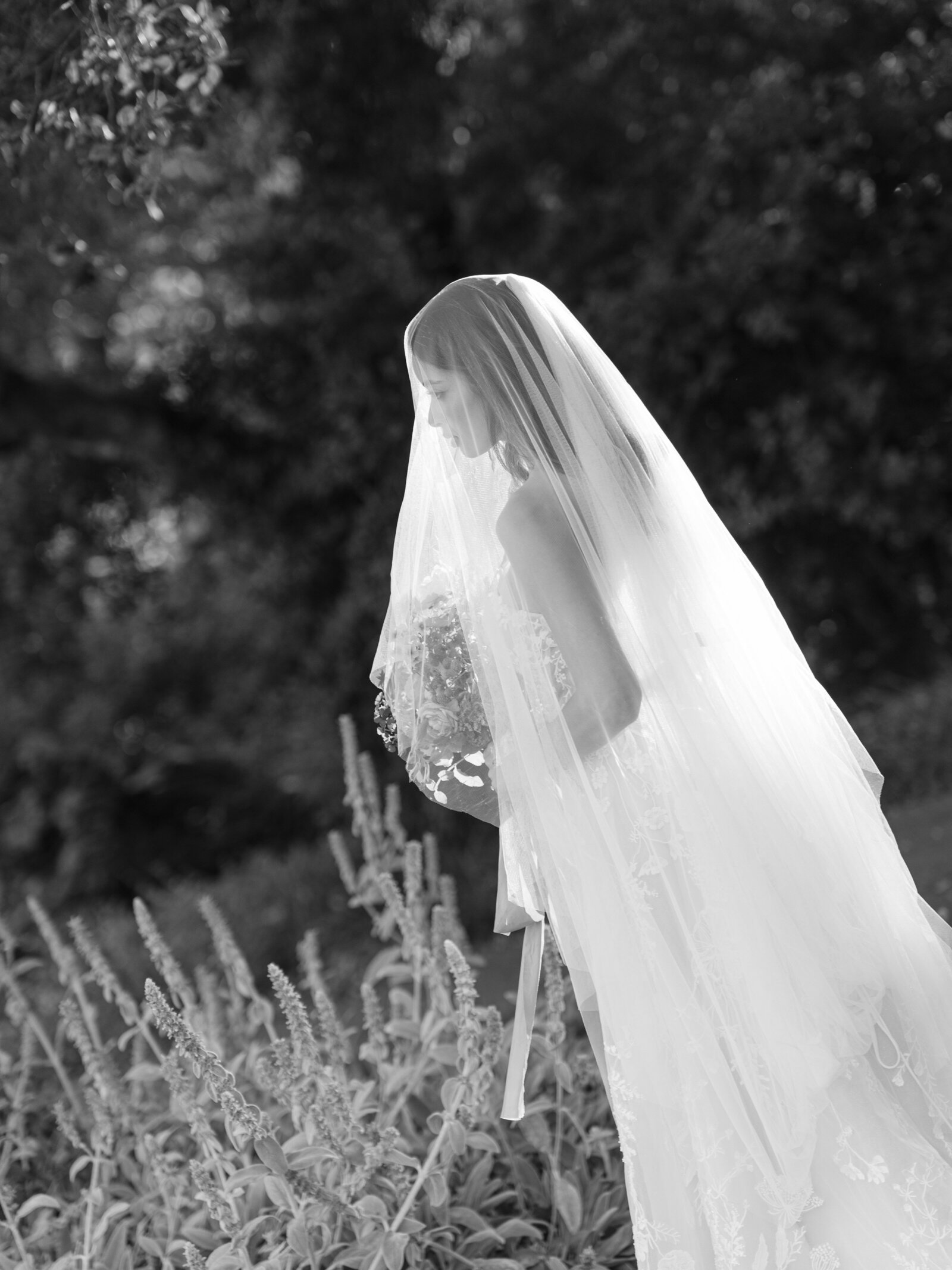 california-wedding-photographer-405