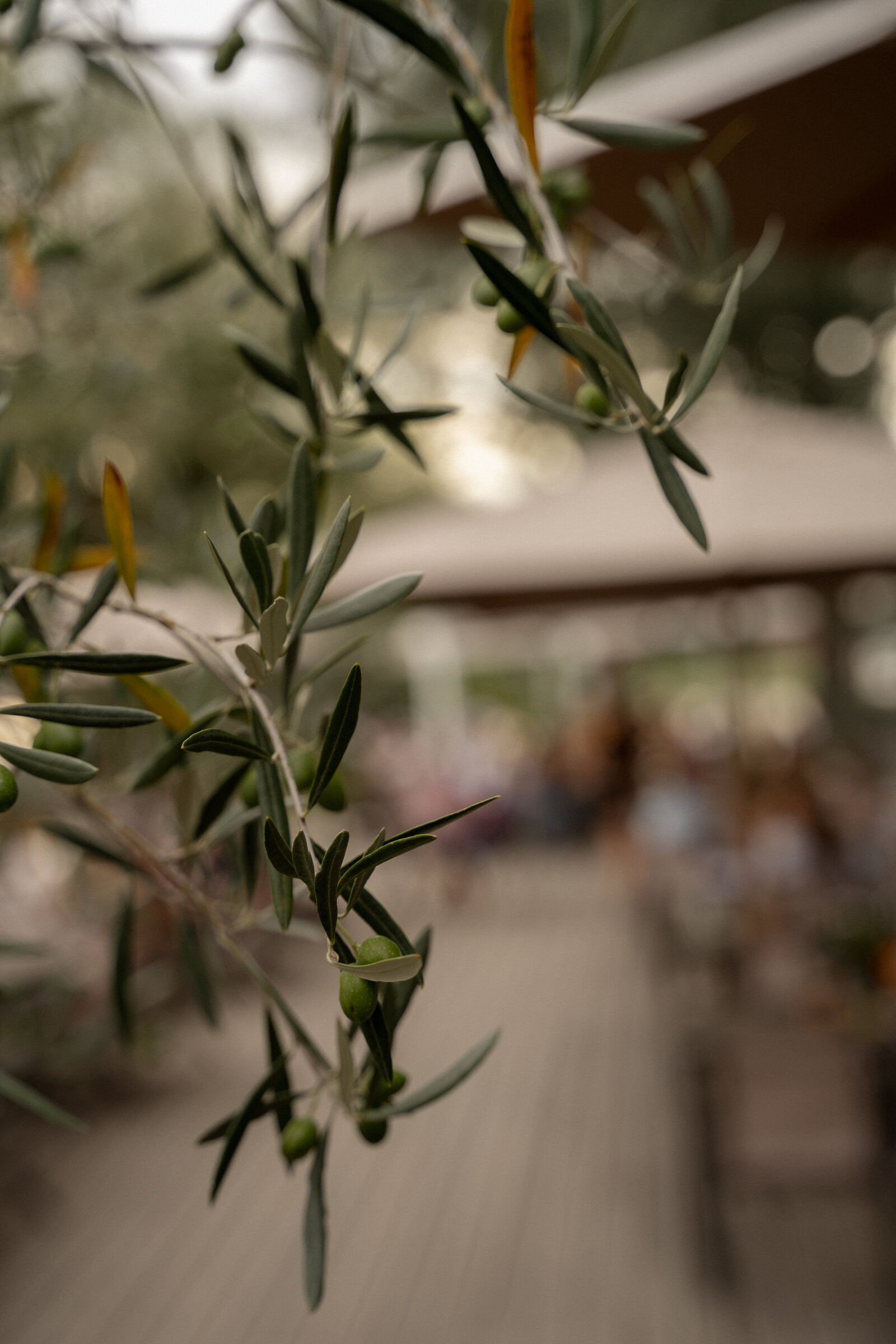 Strandbar-NEU-6
