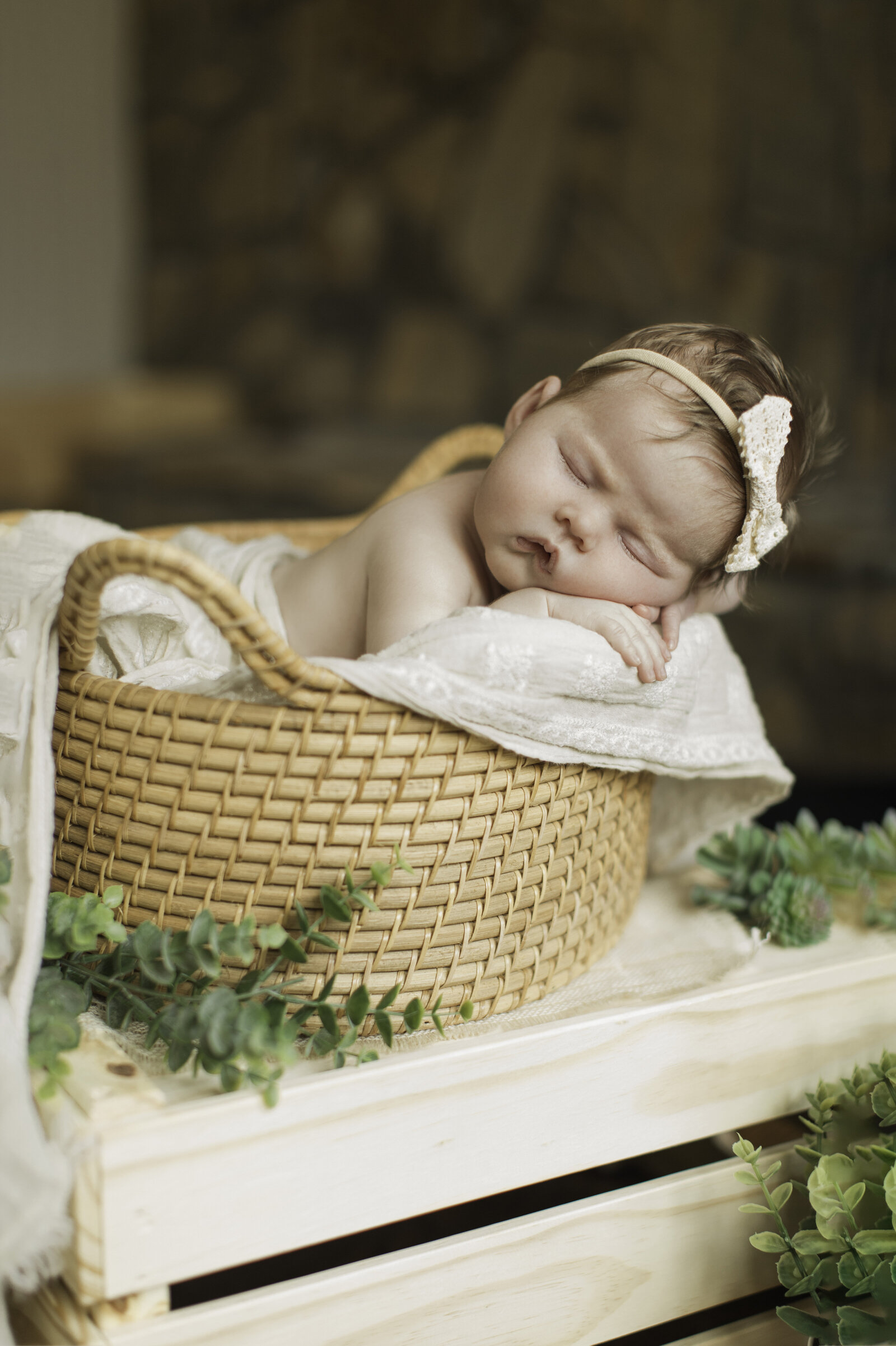 newborn girl in basket on crate with succulents