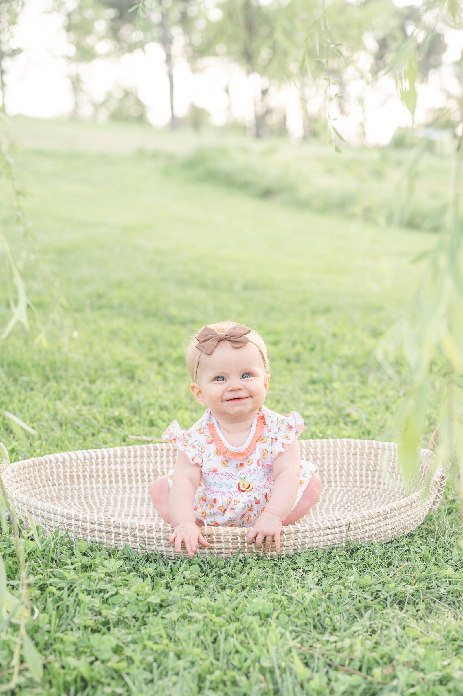 Photo of baby in basket taken by Apex Newborn Photographer