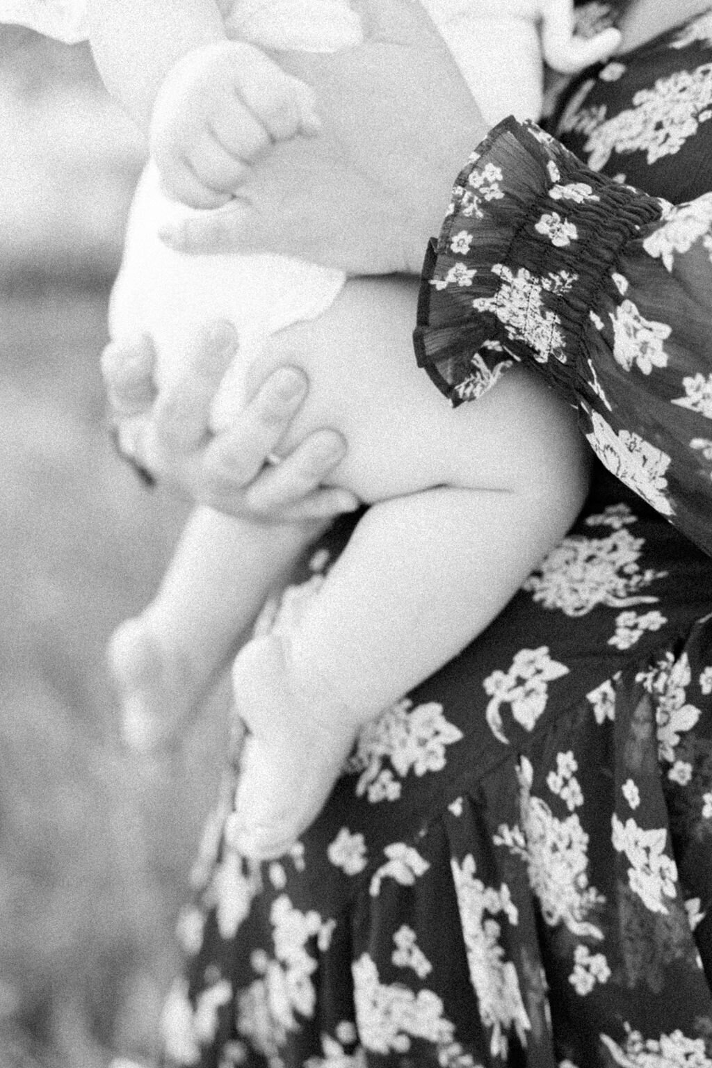 family_0028