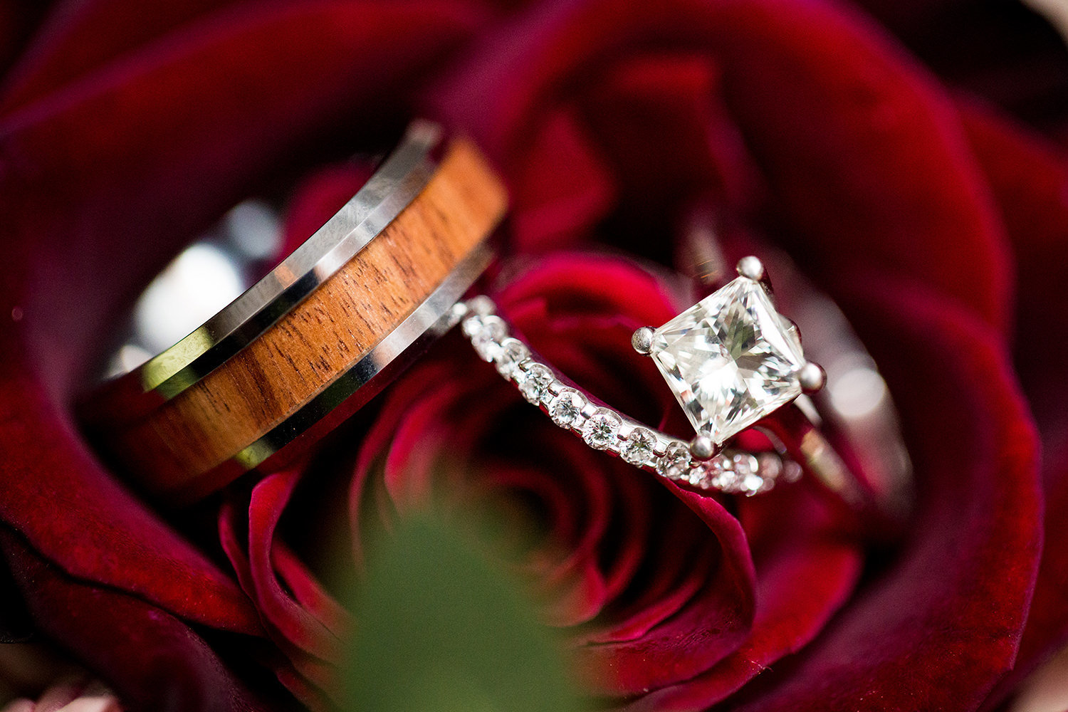 closeup of rings in roses