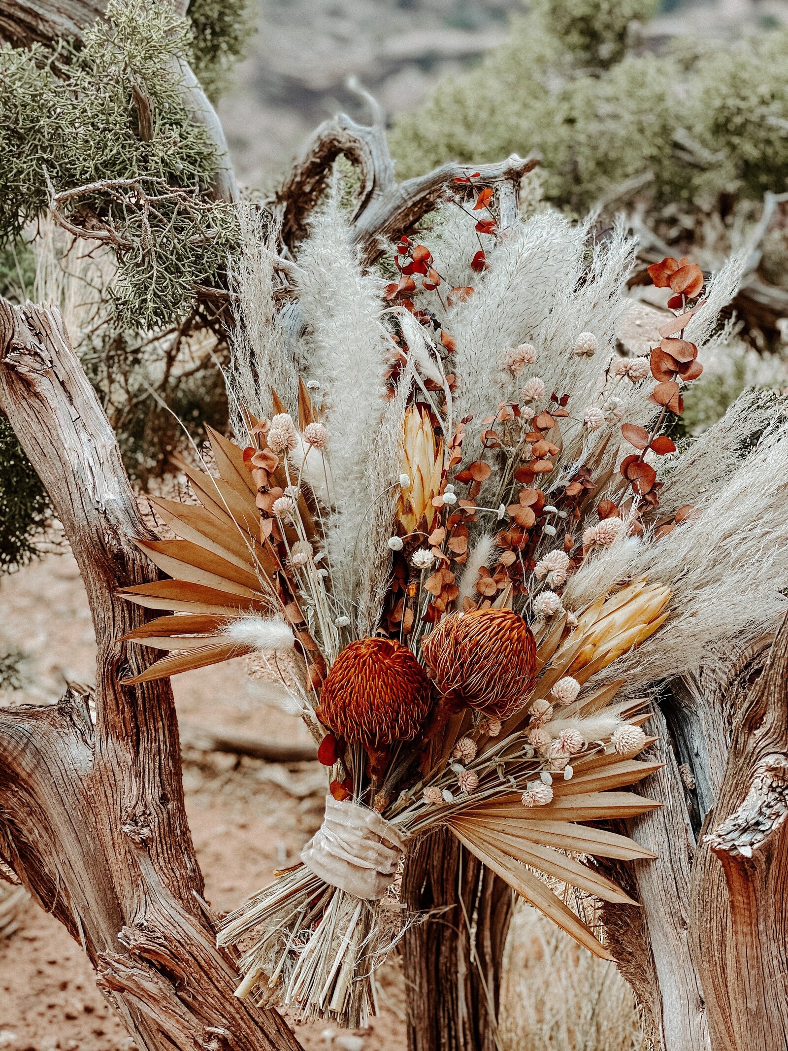 devon-divine-eKeHZItEP2w-unsplash