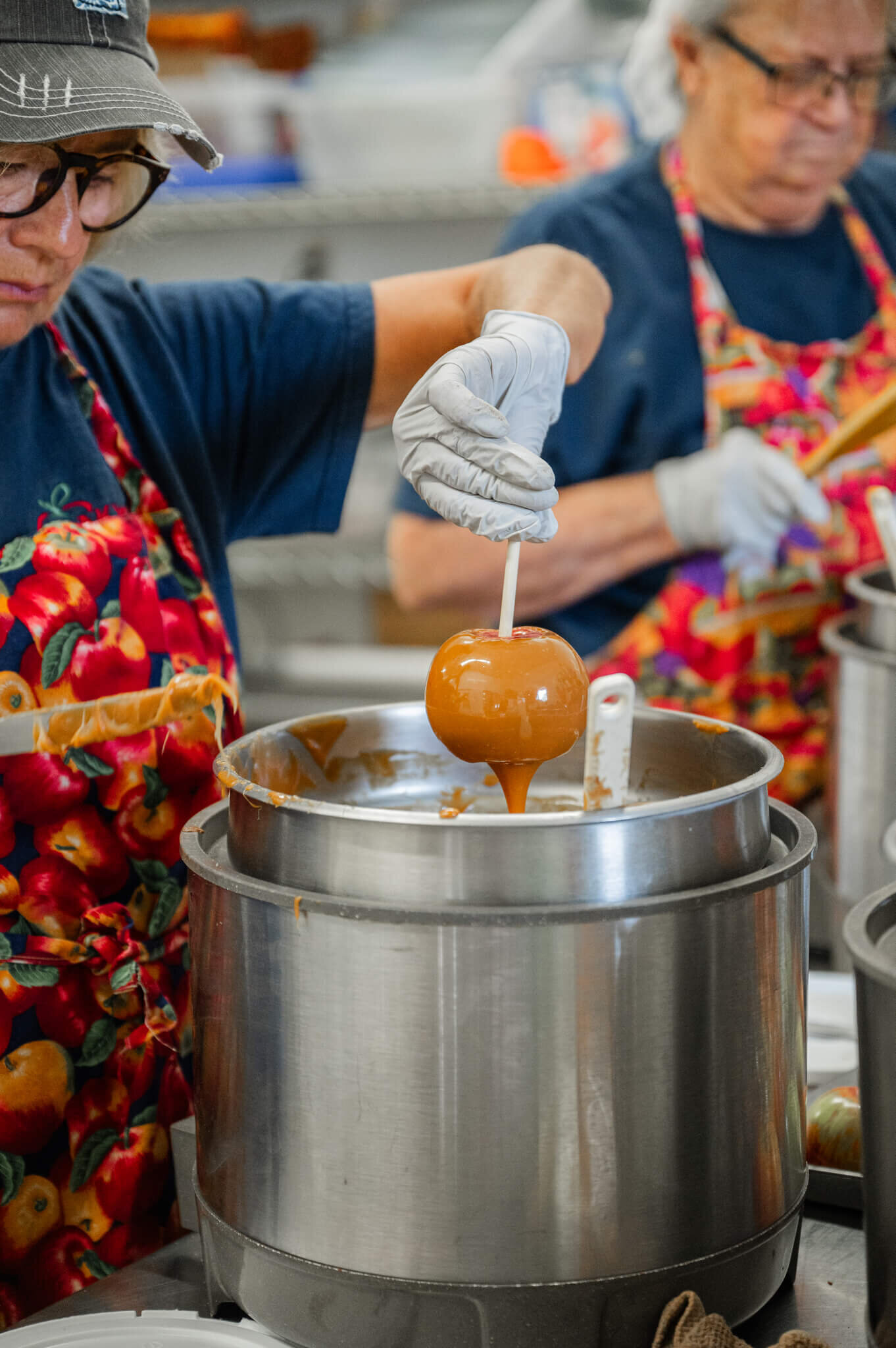 Apple-Cider-Donuts-Richland-Center-Wisconsin-103