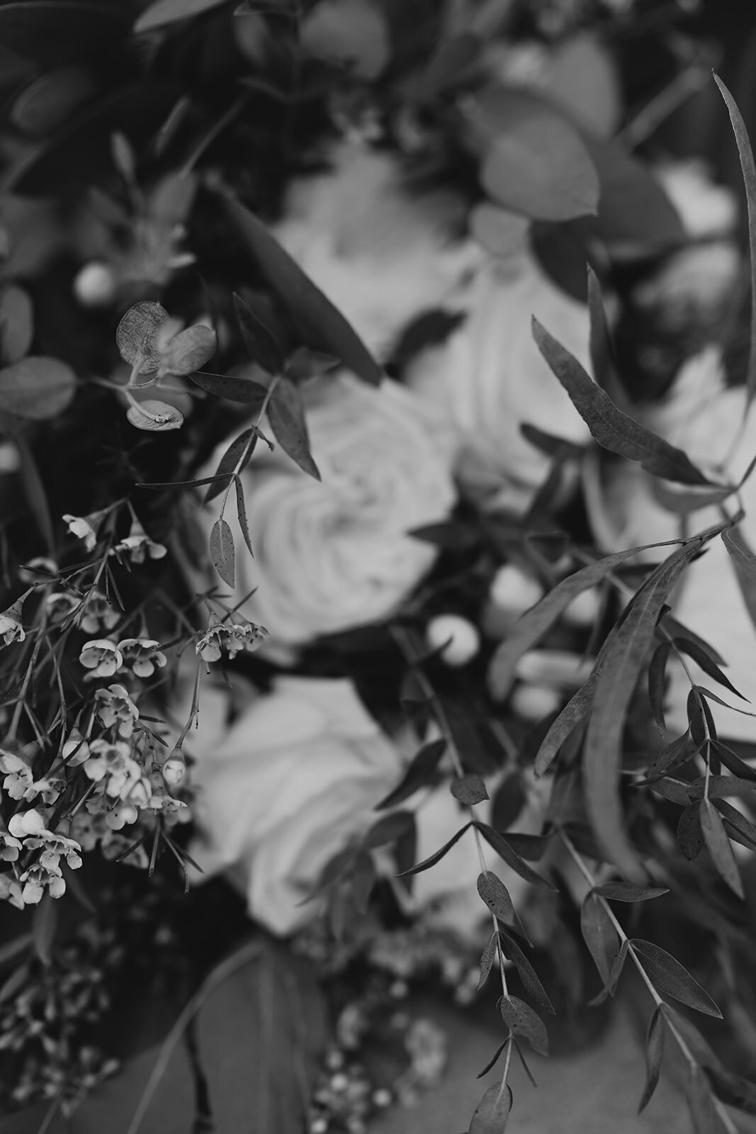 GENEA + AUSTIN_-12