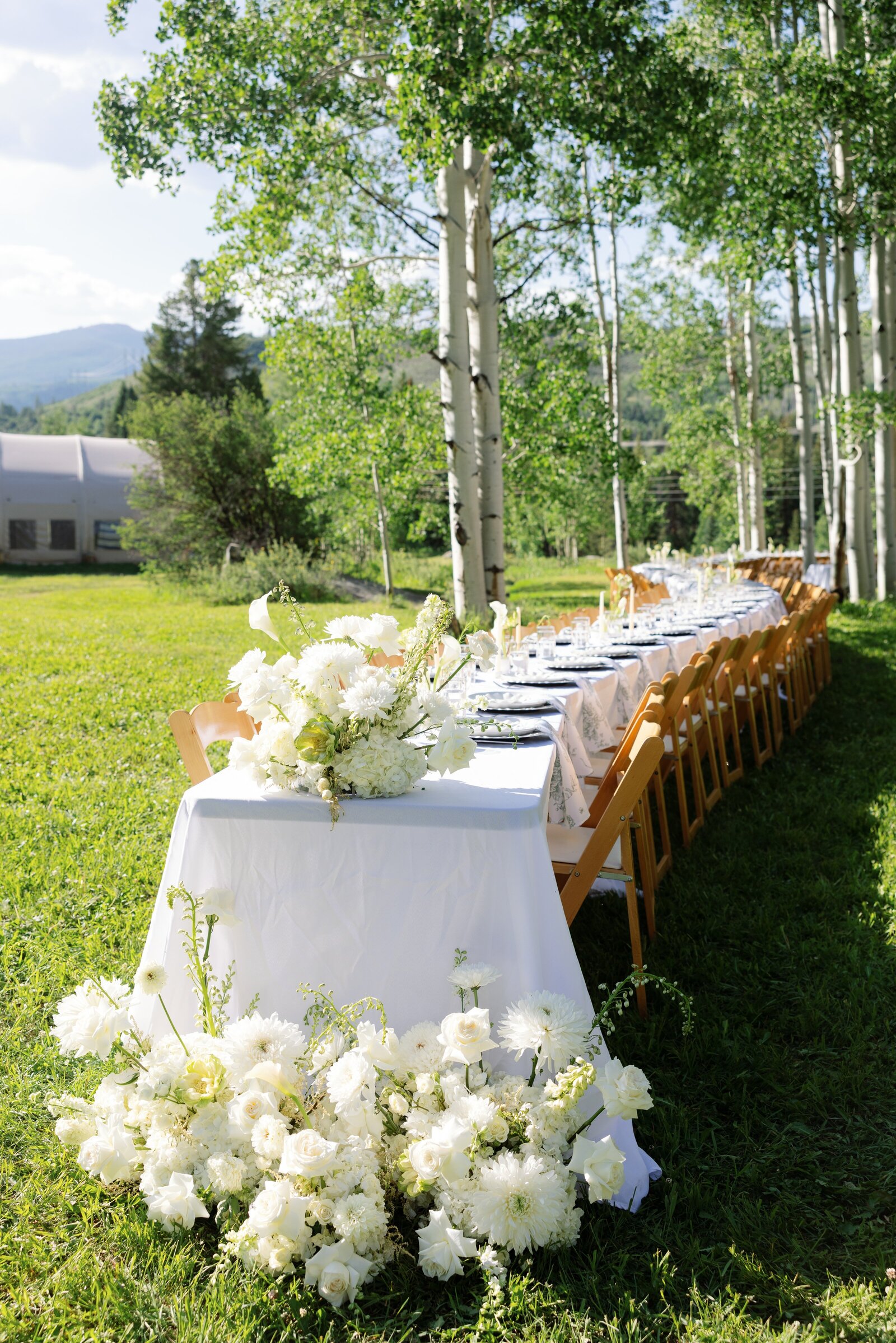 cassidymichael_coloradowedding_stillsbytrinity-16