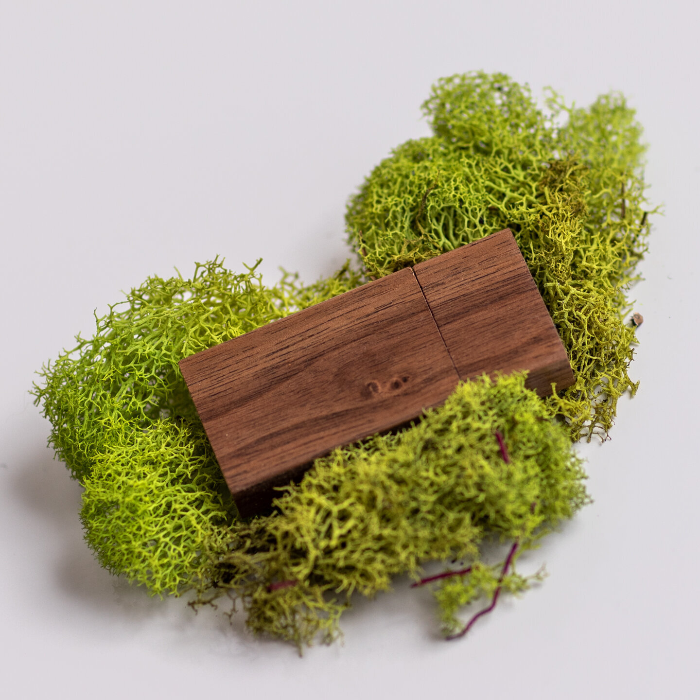 Digital Jump Drive: walnut on moss.