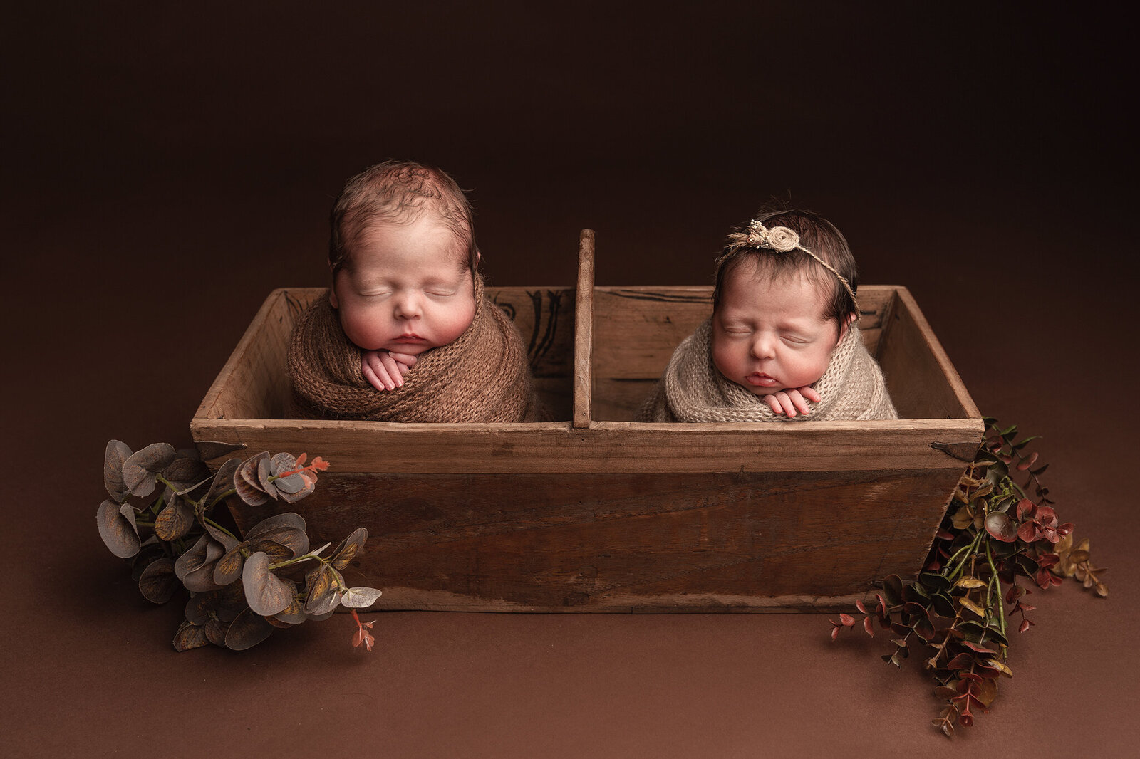 twins in wooden prop wrapped carmarthenshire south wales llanelli merthyr