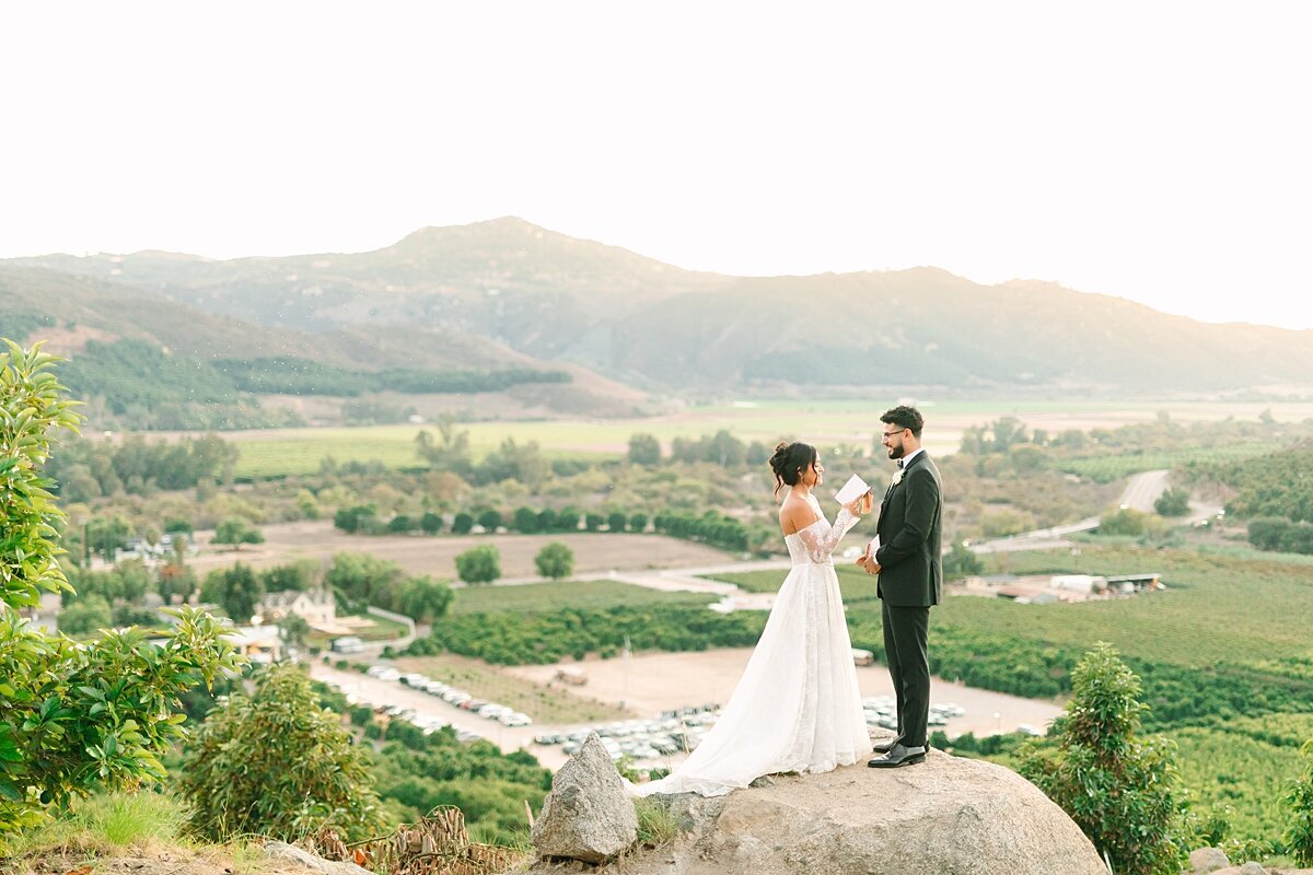 Bride and groom standing on a rock overlooking the mountains at Rancho Guejito Vineyard.