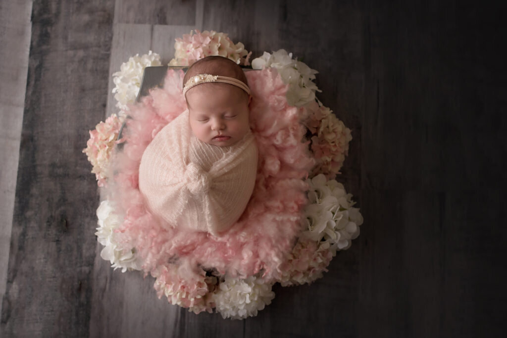 Dallas-texas-newborn-baby-girl-pink-and-grey-posed-studio-best-newborn-photographer-allison01-1024x683