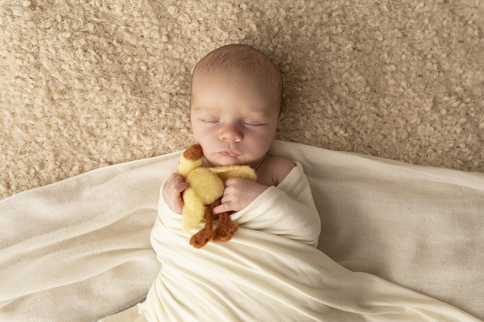 Jennie Root Photography | Newborns | Rueben