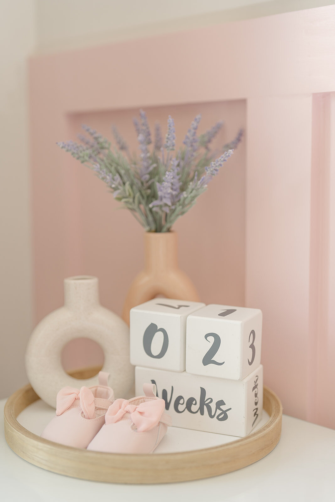 nursery decor taken during Marshall, Virginia newborn photo