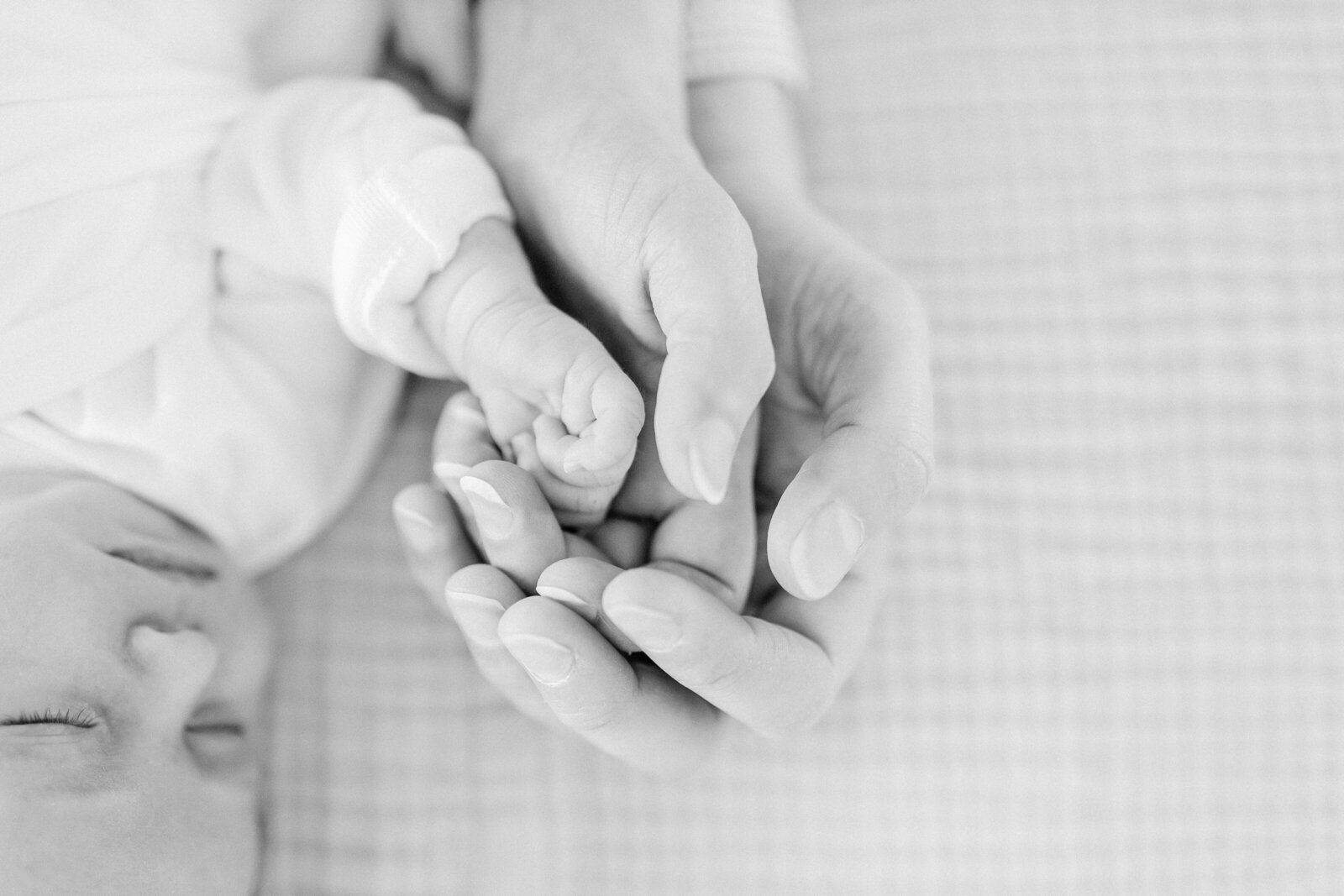 Scituate MA newborn photographer Sophia-