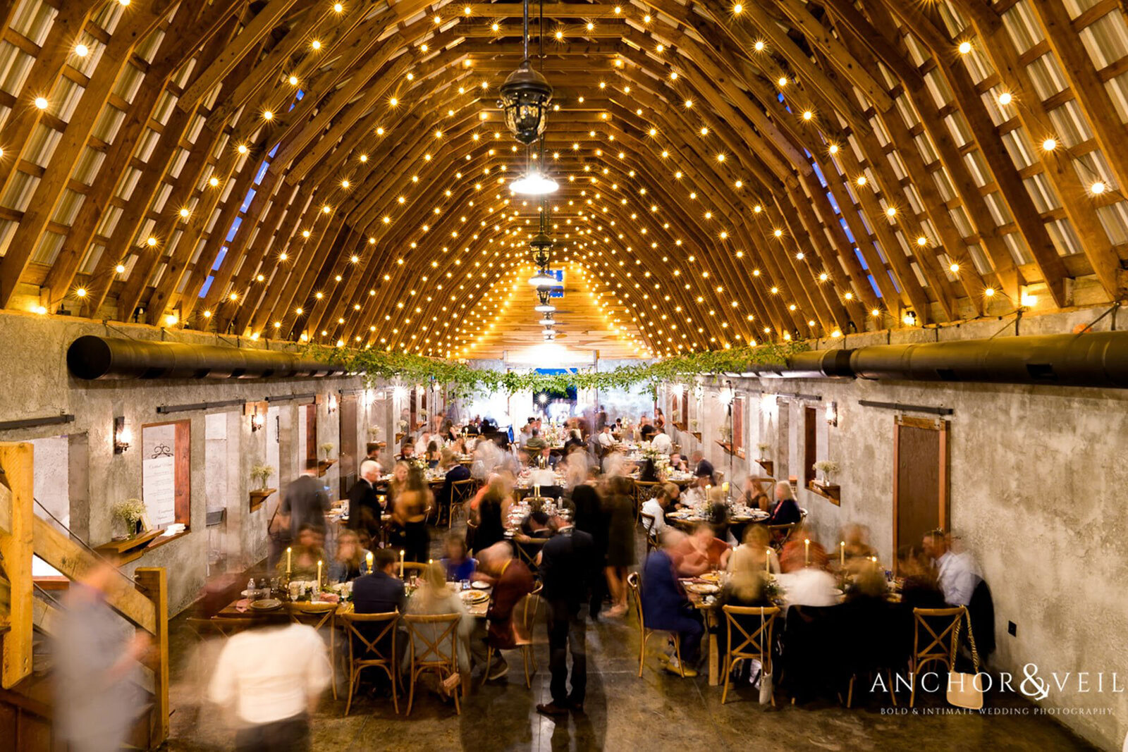 Reception with lighted ceiling at North Carolina destination wedding