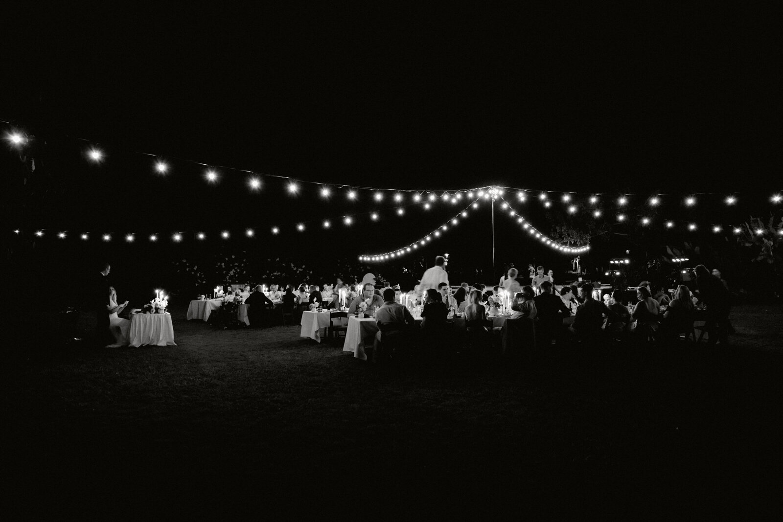2024-07-27-Caity + Jacob Hart Darwin Botanic Gardens Wedding Daisy + Pine Sneak Peeks-113