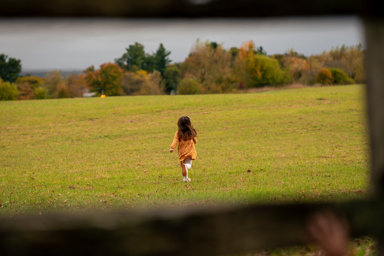 Photo 13 10 2025 16 03 30 39