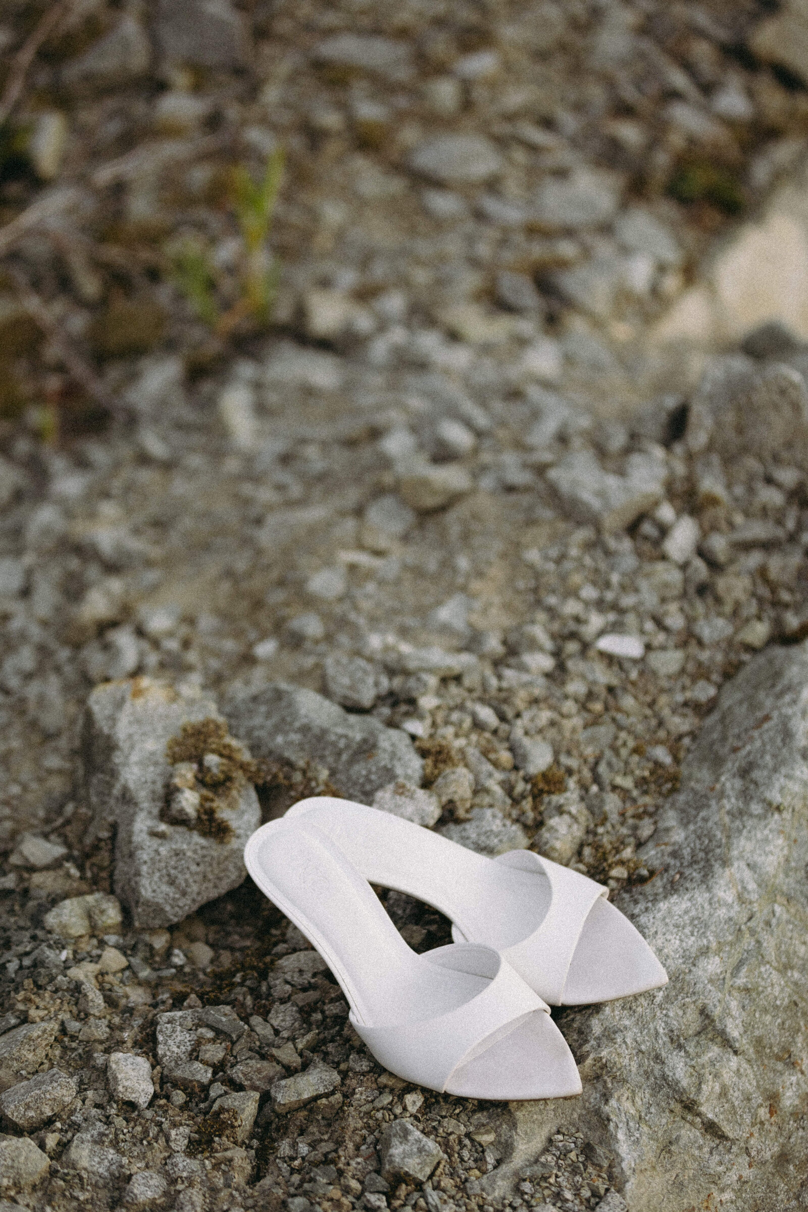 wedge-mountain-lodge-whistler-wedding-photographer-2-1