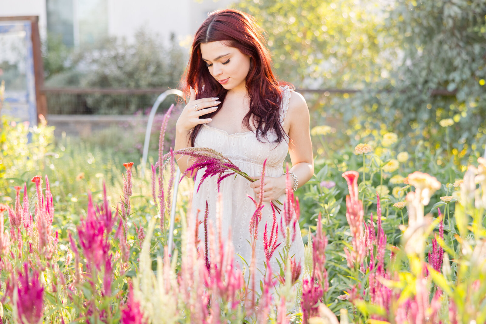 senior portrait in a yellow filed of flowers