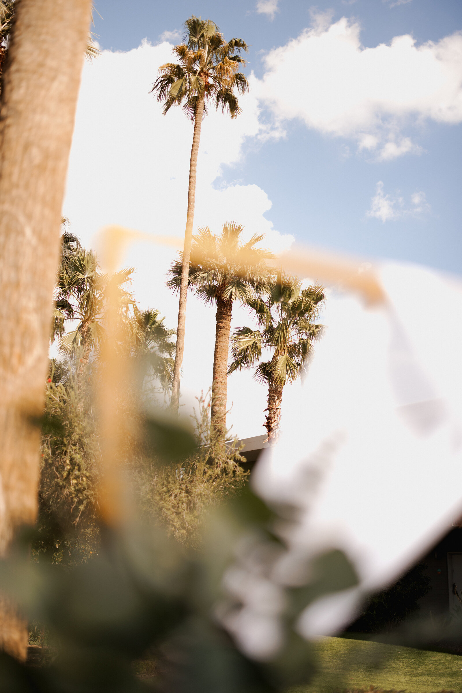 Photos of wedding couple, taken at Scottsdale Valley Ho Hotel in Scottsdale Arizona, Taken by Kollar photography, Arizona Elopement Photographer