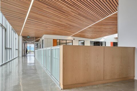 willow school 7