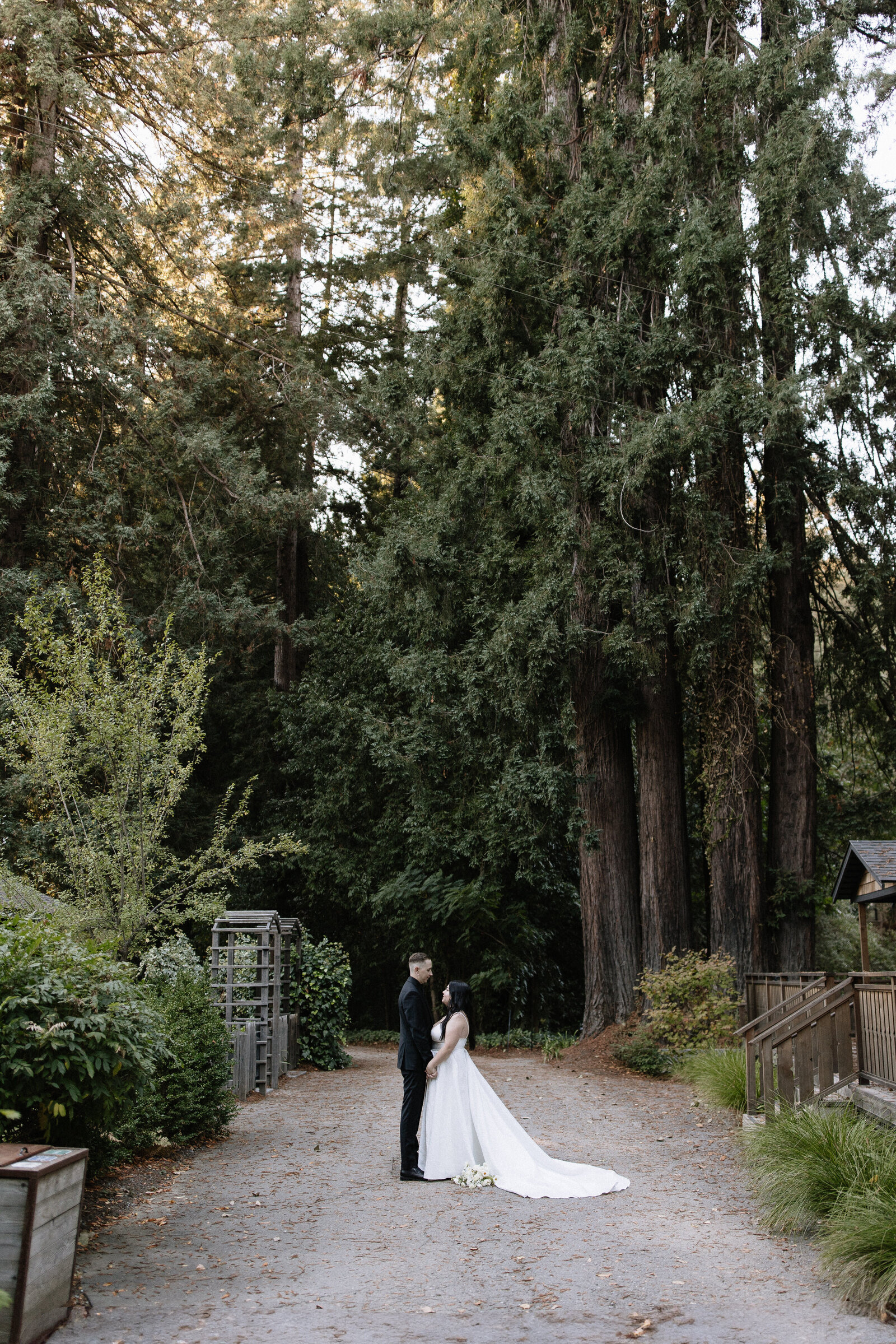 Bridal portraits in towering redwoods by wedding photographer Northern California, Erica Rochelle Photography