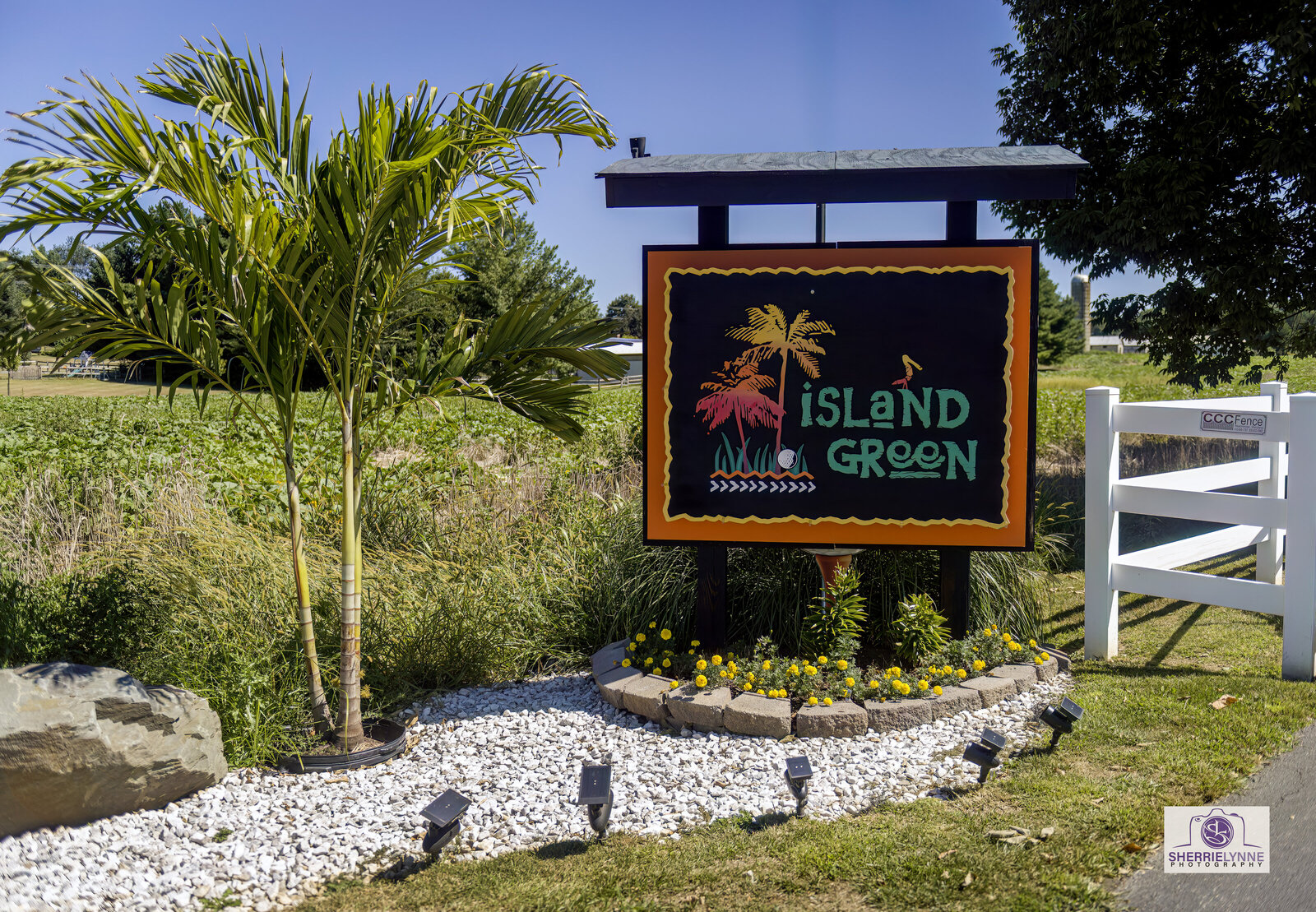 DSC_1346-Island Green copy