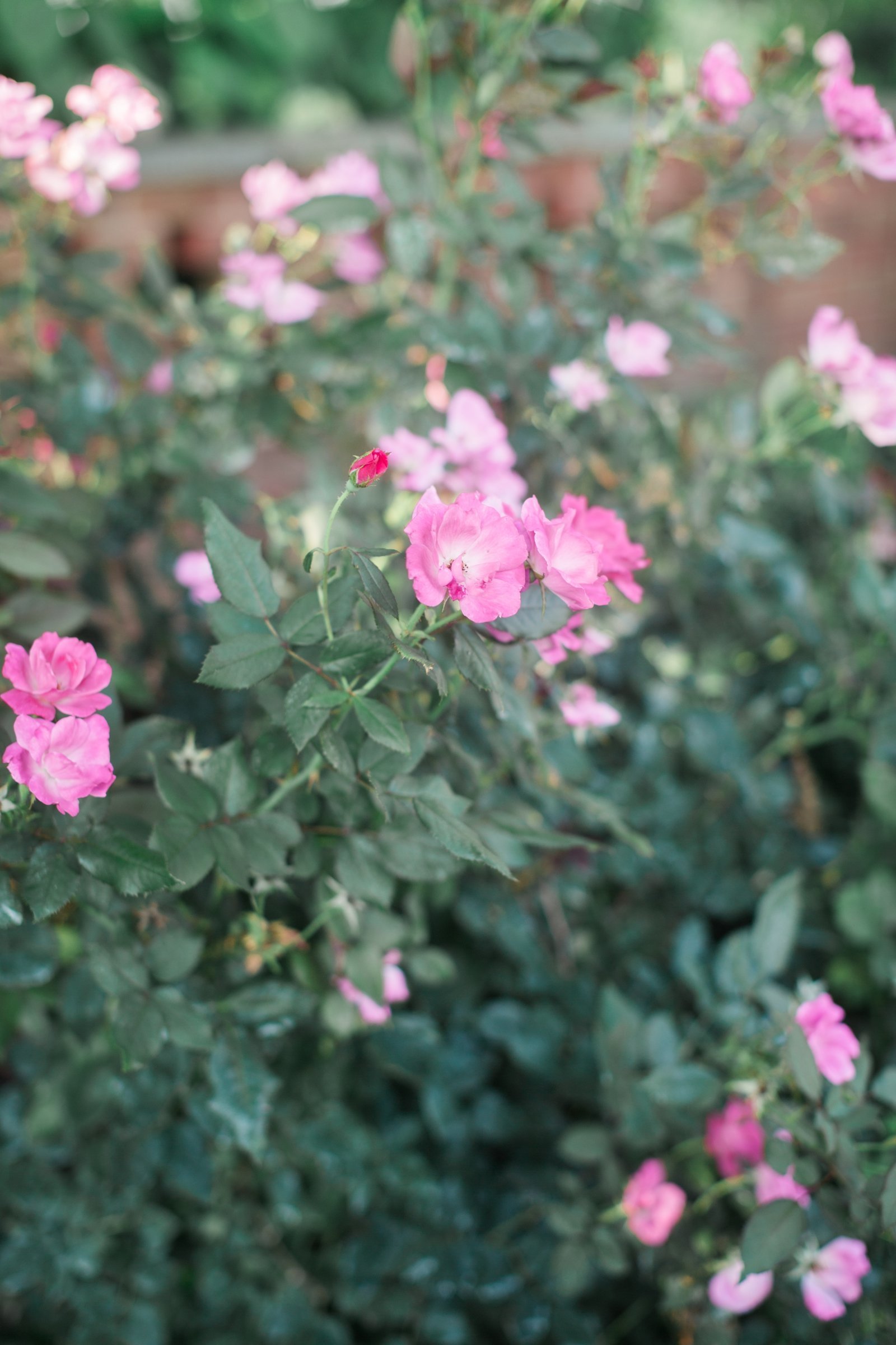 i-pink-floral-va-estate-wedding_1638