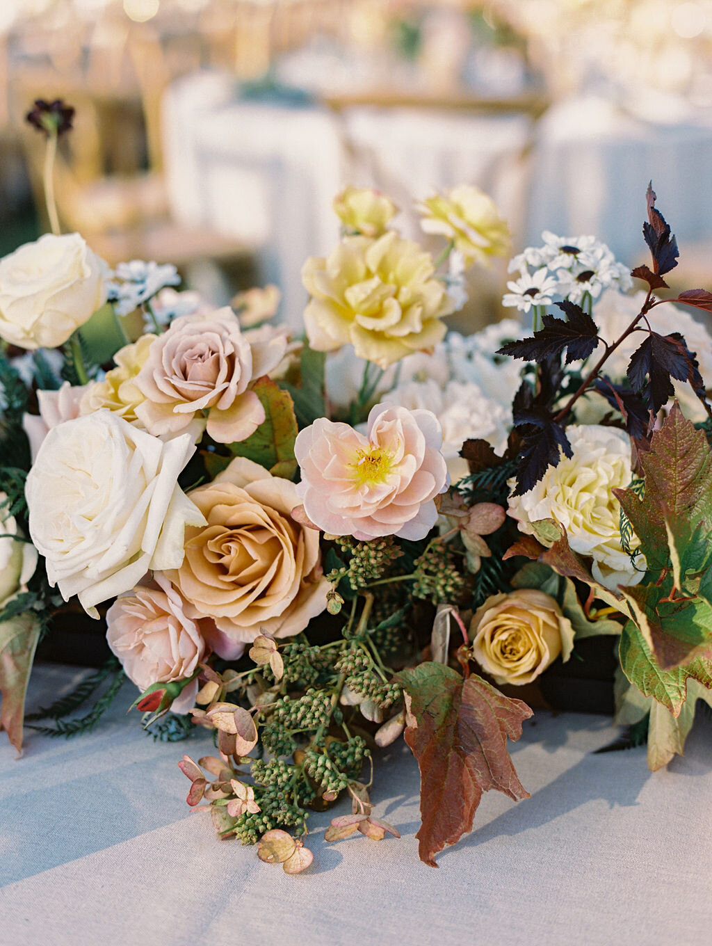Willow-and-Oak-Estate-Wedding-Ashley-Rae-Studio-Vieira-Wedding-2023-111