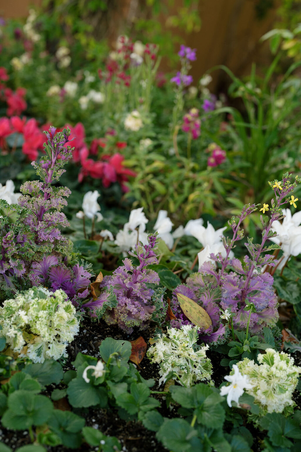 Ethereal-Gardens-Wedding- (15)