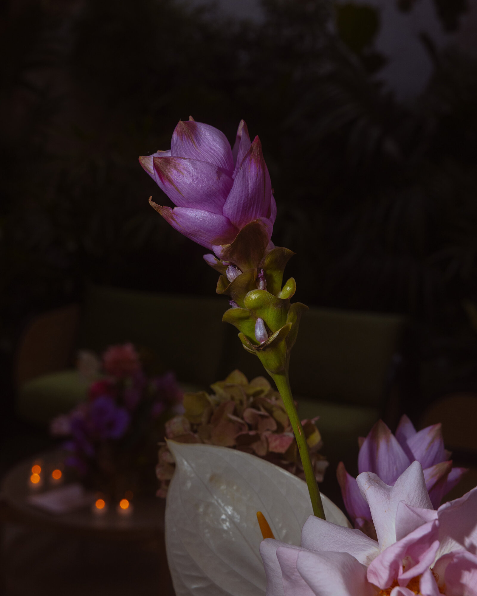 Wedding-Styling-photos-Briars-Atlas-3849