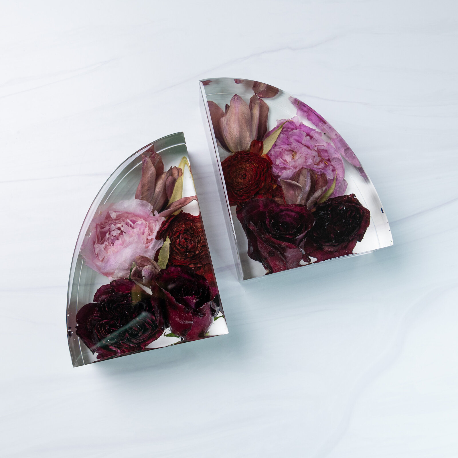 bookends red pink peony tulip AmberS