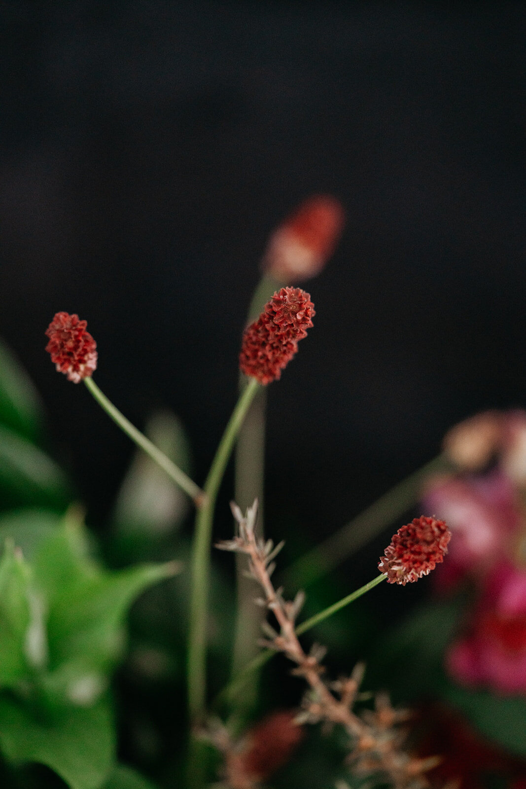 Majolica_photo_Dutch Master Elegance- A luxurious wedding Editorial_212