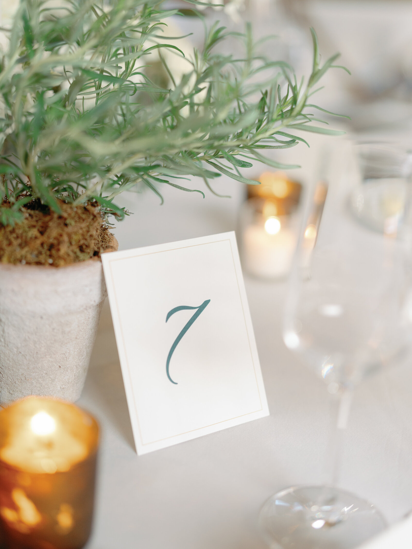 0042-A7I01836-AshleyRaePhotography