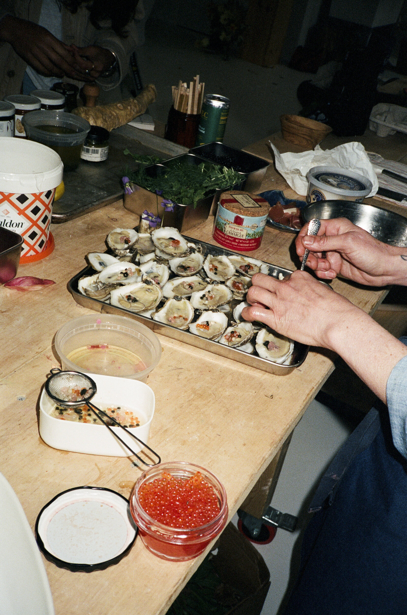 boston_film_photographer_craft_and_willow-3