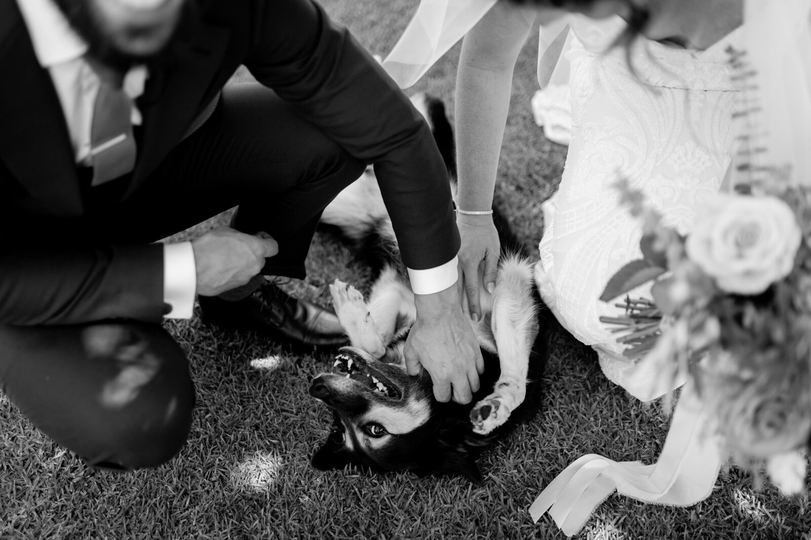 250226-Shelly-Tom-Rexvil-Photography-Adelaide-Wedding-Photographer-208