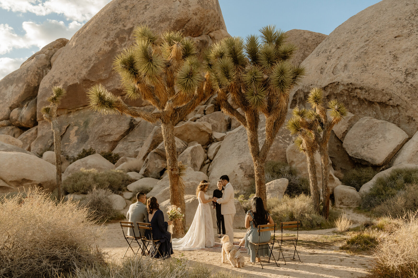 joshua tree photographer-695