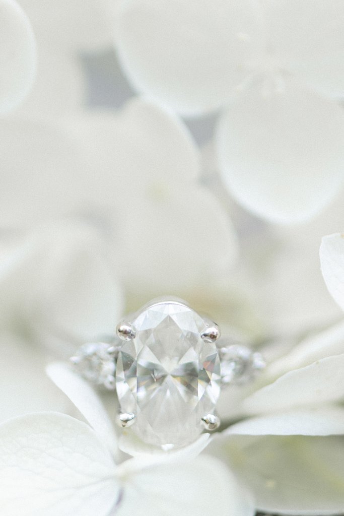 Balsam and Blush Photography_2674