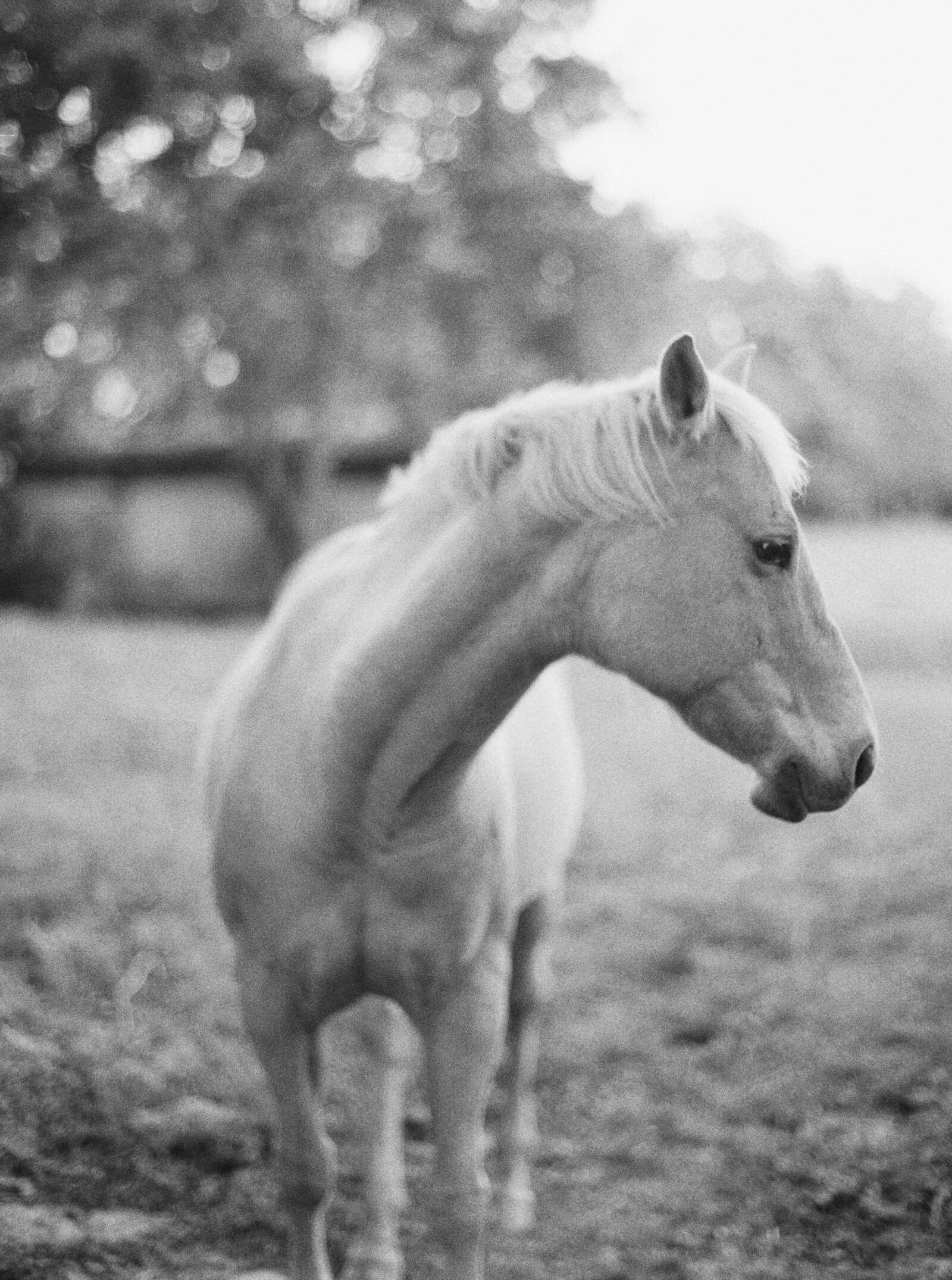 private-ranch-wedding