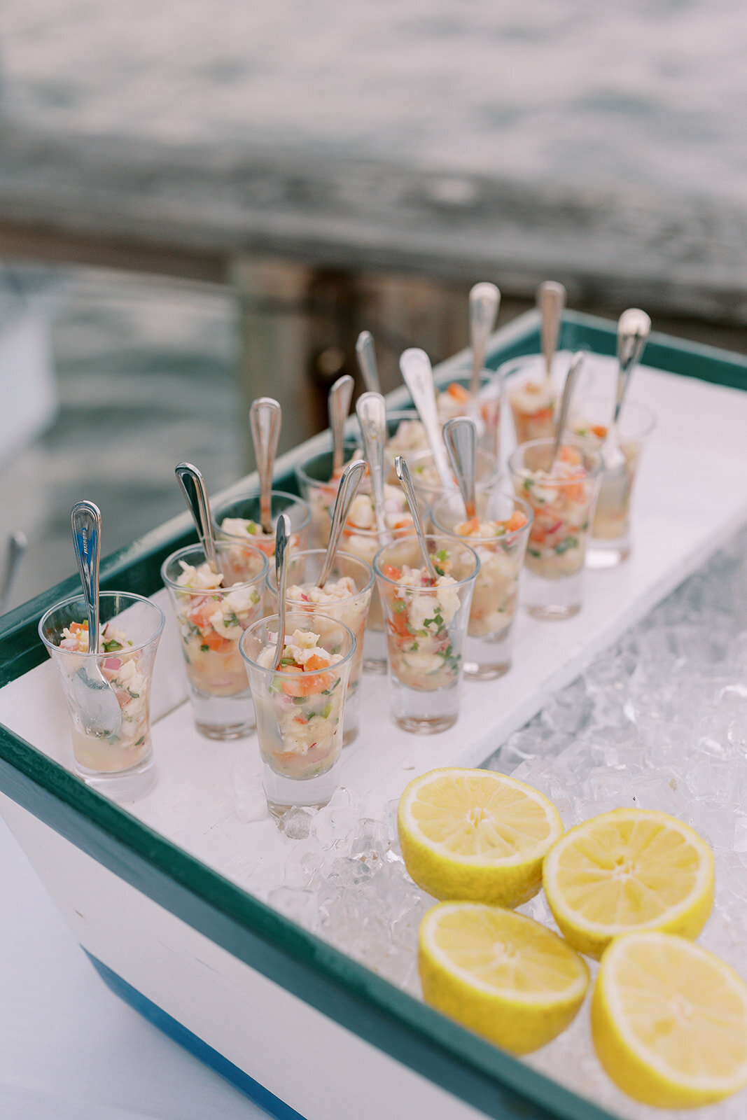 Martha_s Vineyard Edgartown Rehearsal Dinner Photos-By Halie Wedding Photography-IT20230923-FINAL-146