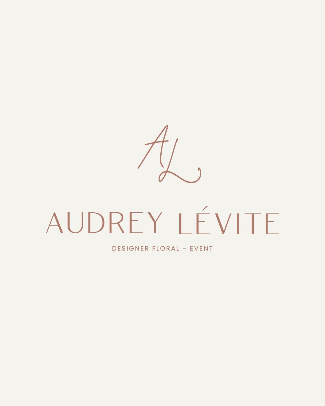 conception-identite-de-marque-site-web-designer-levite14