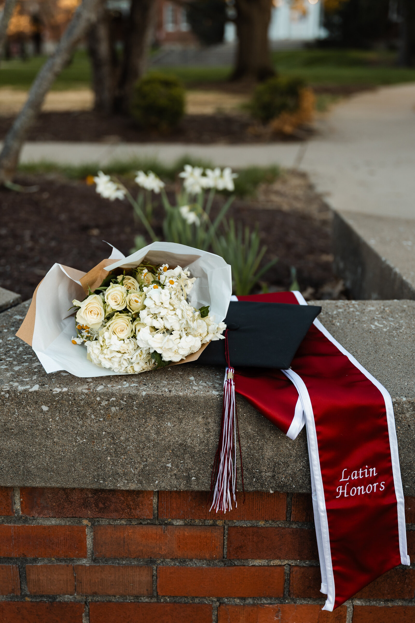 Amelia_Grad_ADB-91
