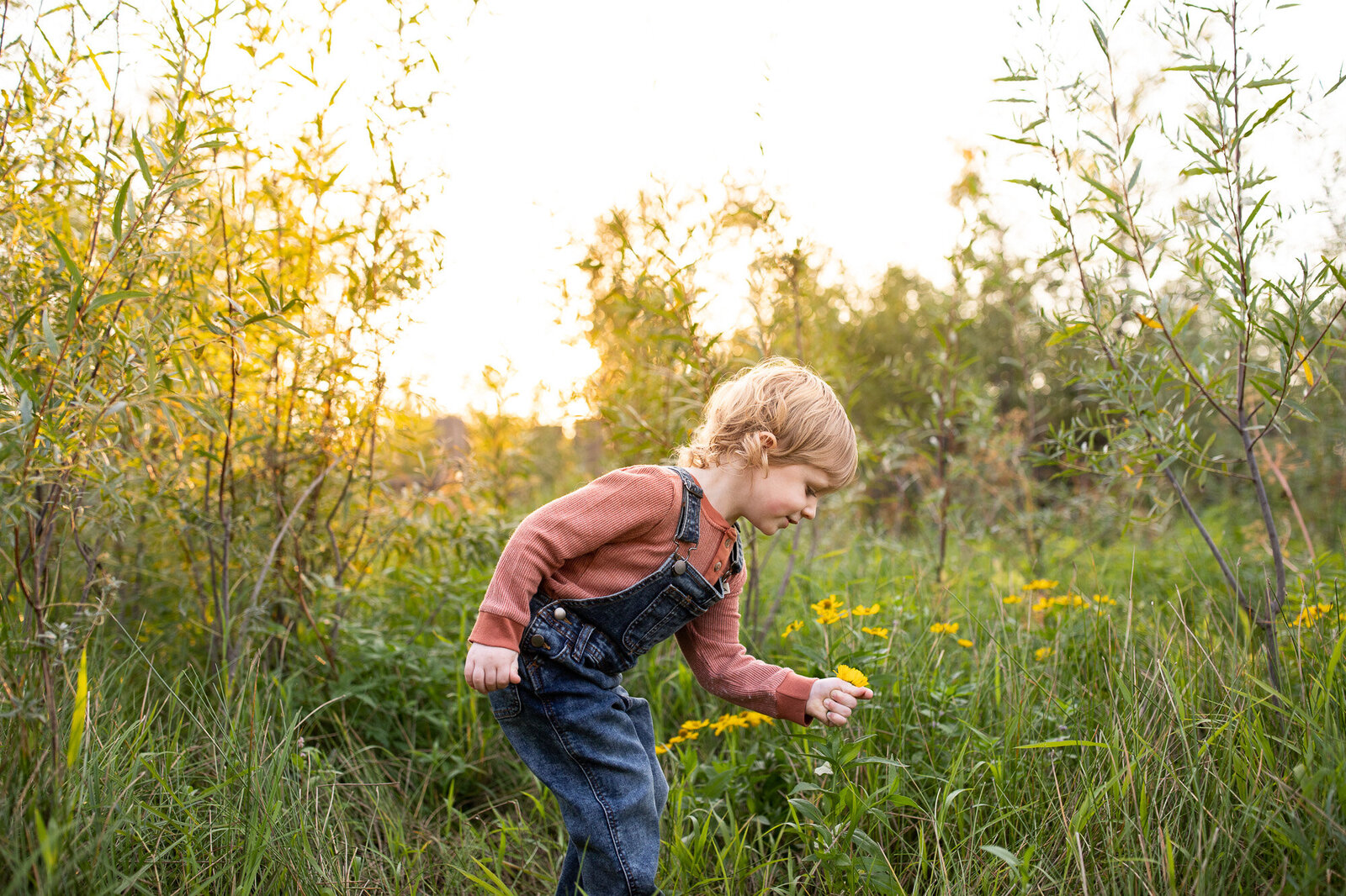 Young boy in overalls picking yellow flowers in the Columbia River Gorge.