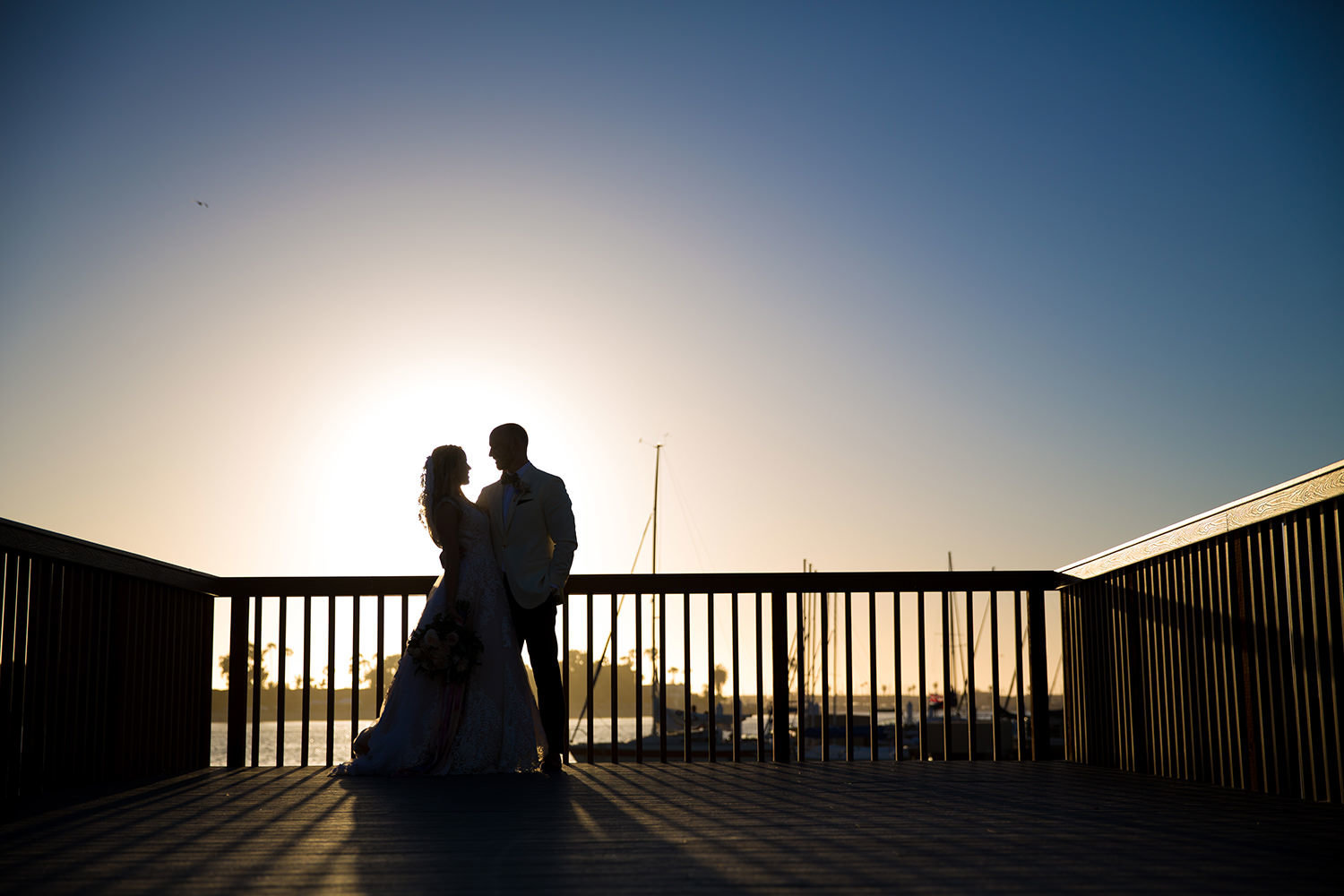 Colorful silhouette of the bride and groom