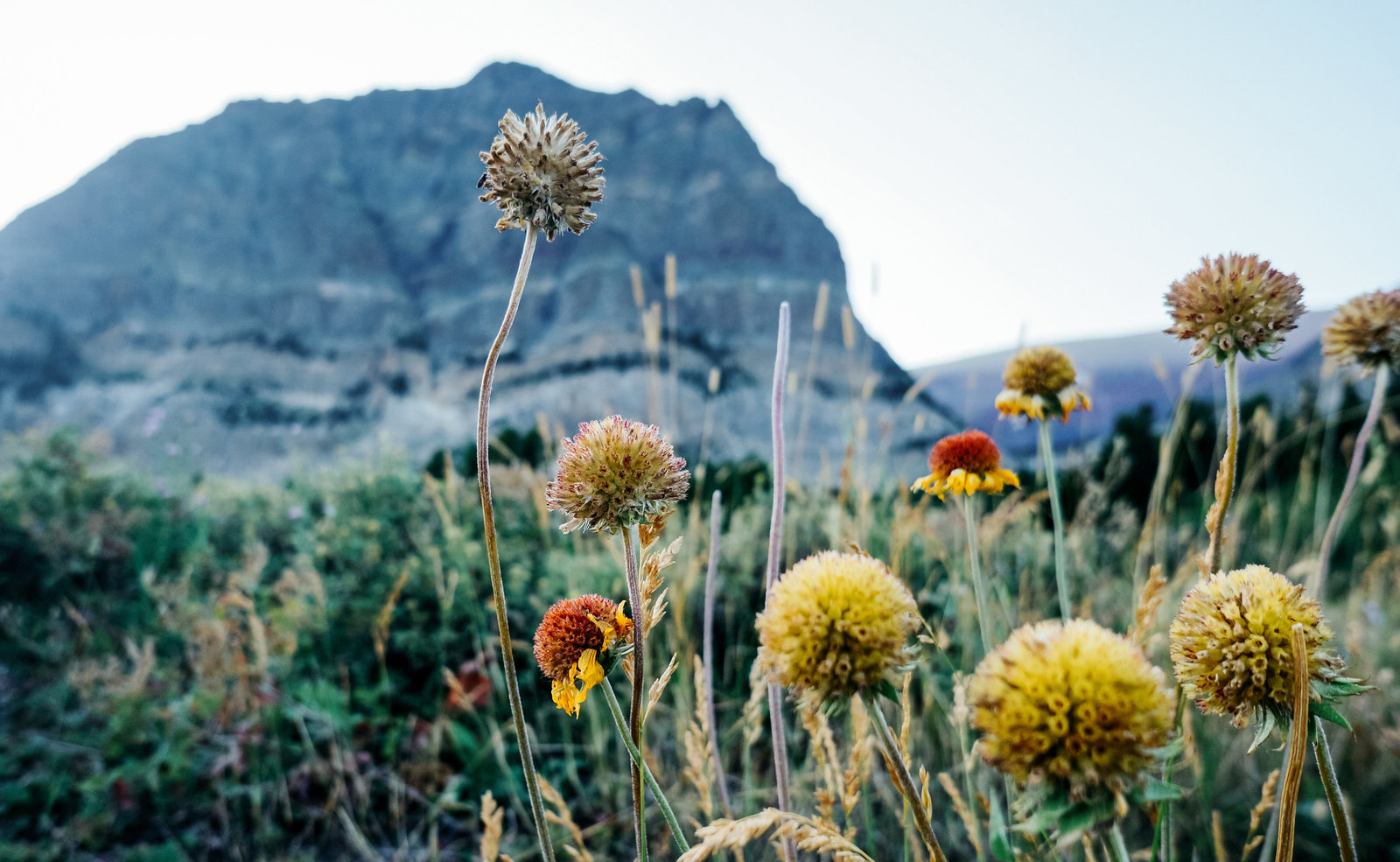 Sasha_Reiko_Photography_Travel_Utah_Arches_Canyon_Lands_Zion_Grand_Canyon-17