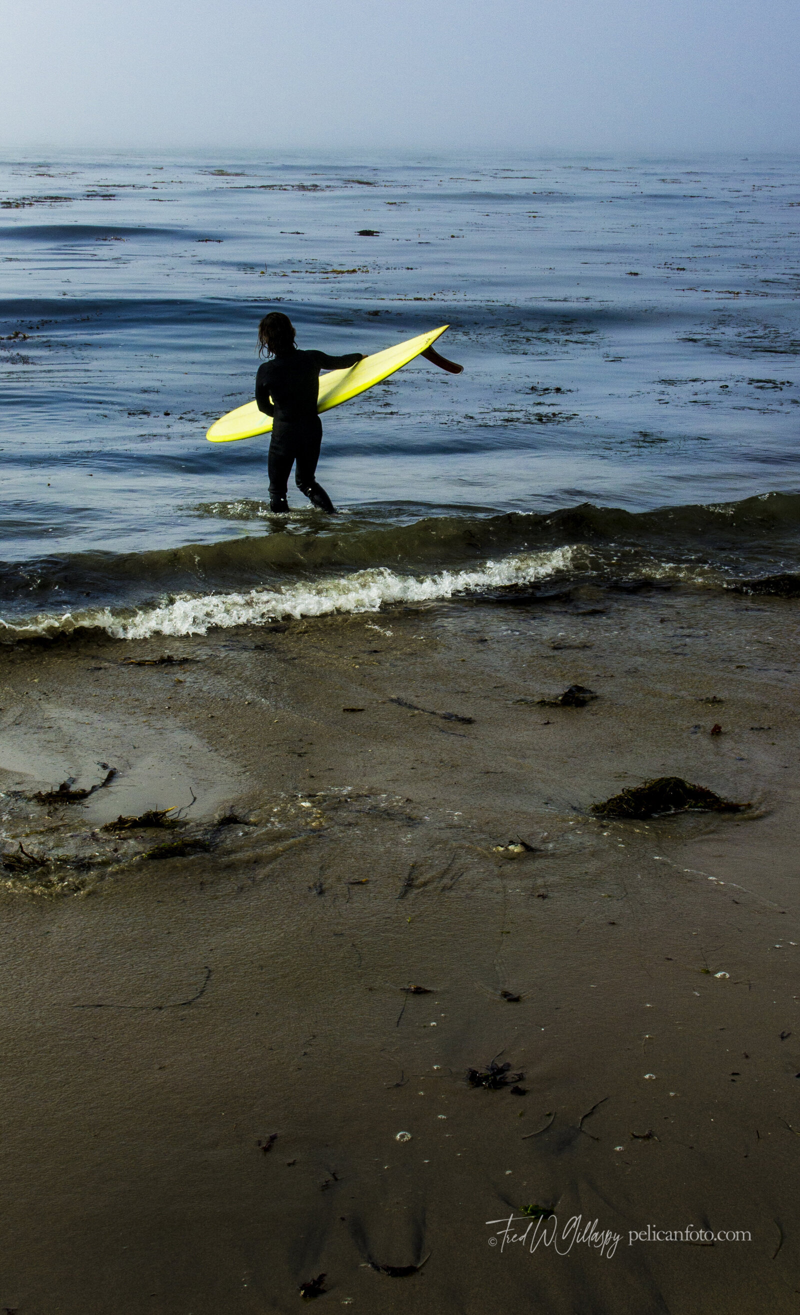 ©FredWGillaspy-SCrz-Surfer-Girl-S9106