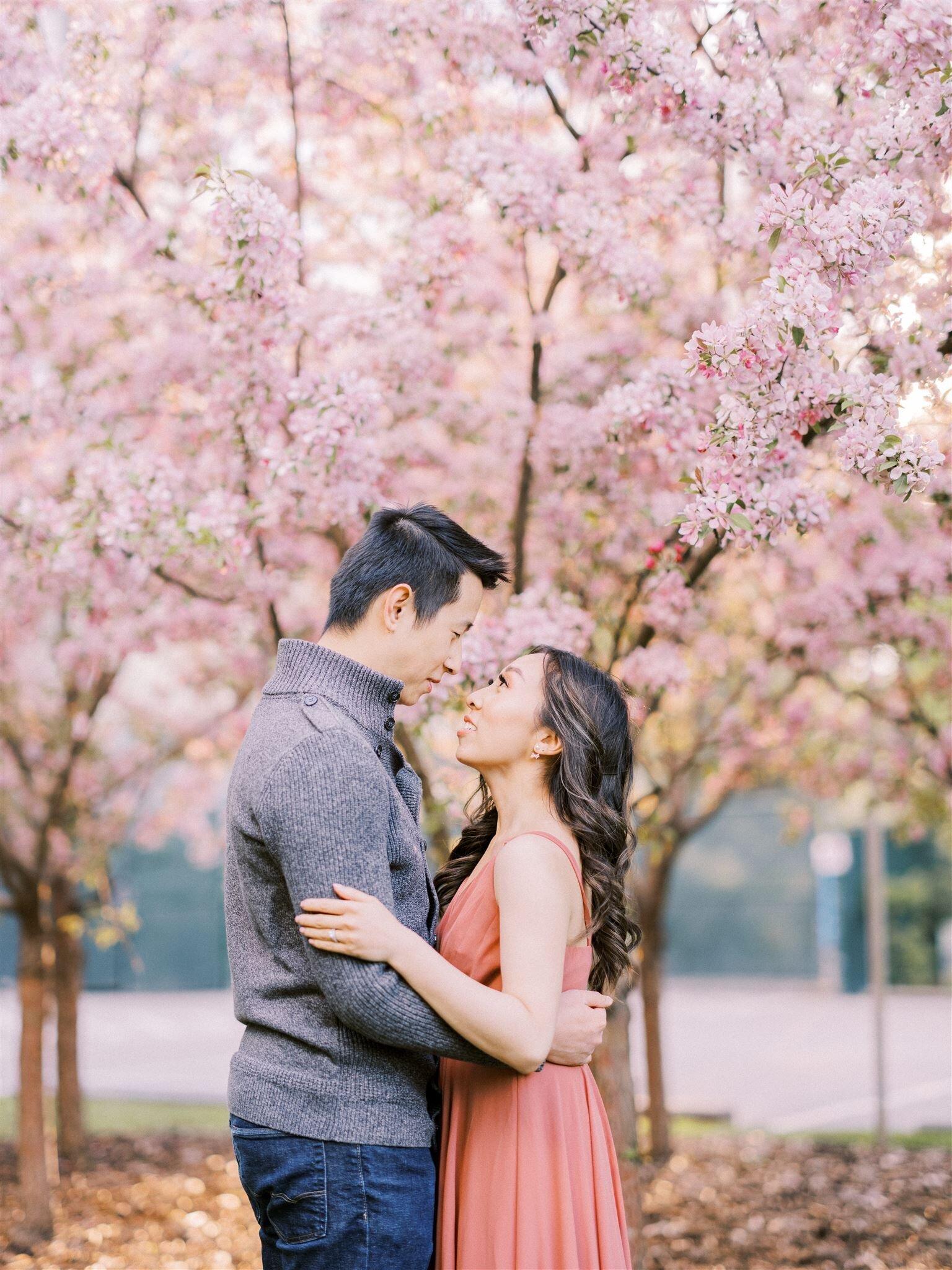 calgary-wedding-photographers-nicole-sarah-cherry-blossom-engagement-51_websize