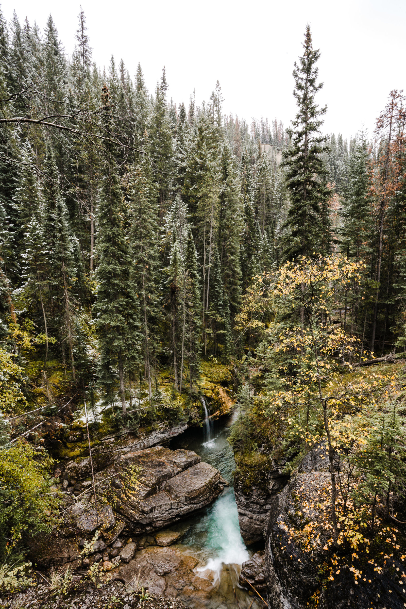 Banff_Jasper_National_Park_Sasha_Reiko_Photography-85