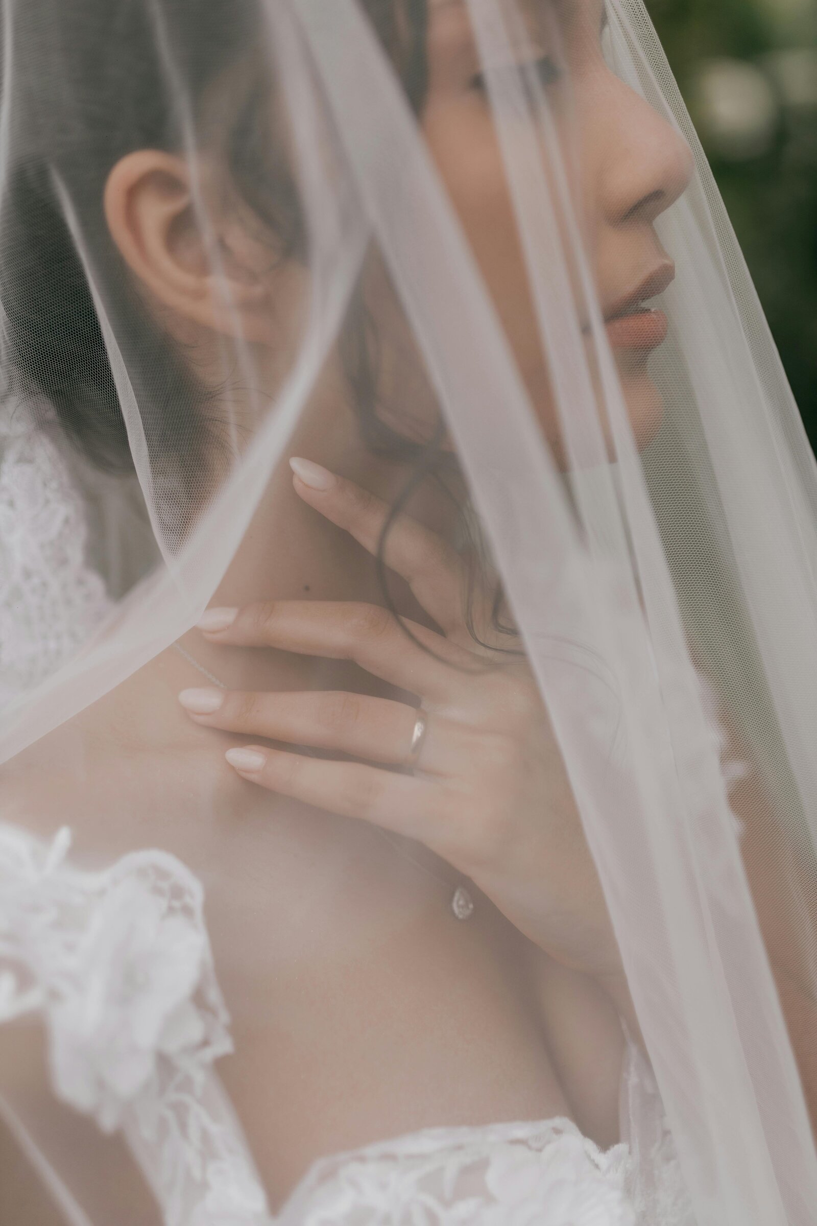 pexels-alexander-mass-748453803-33435168